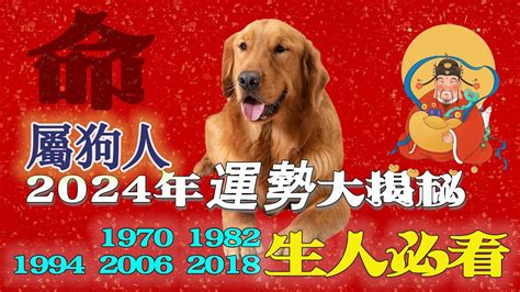 1970 屬狗2024 運勢|属狗1970年出生的人2024年全年运程运势